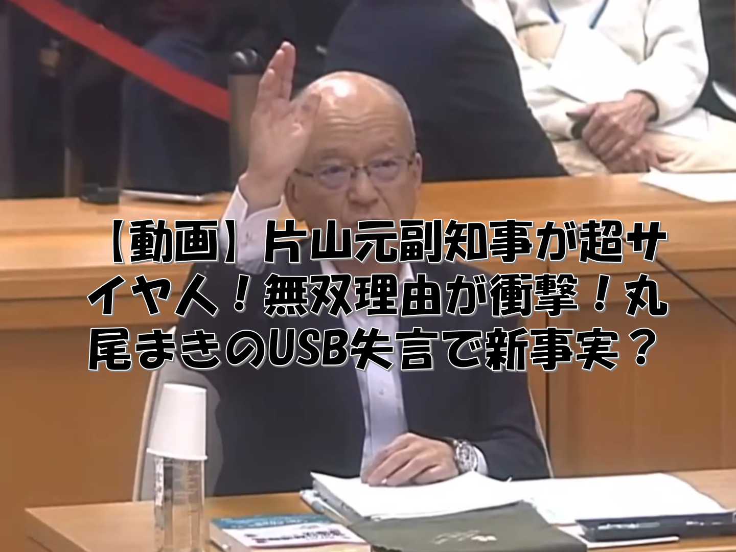 手を挙げる片山元副知事