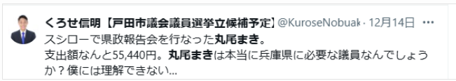 丸尾まきは本当に議員なのかと懐疑的な声