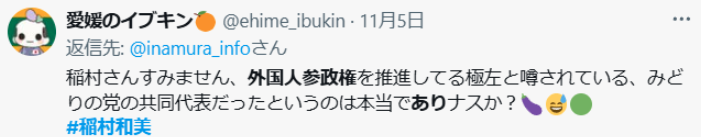 稲村和美が外国人参政権を推進する人？という声