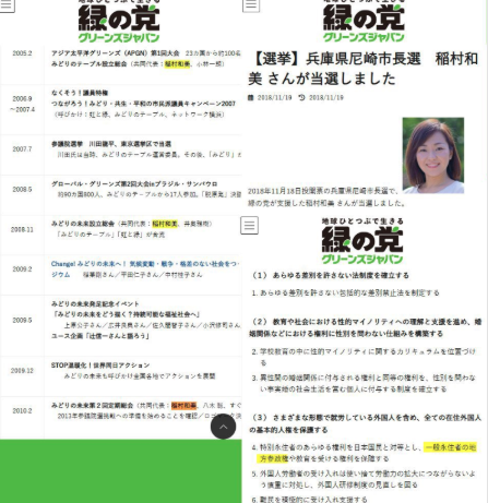 2018年の緑の党の資料